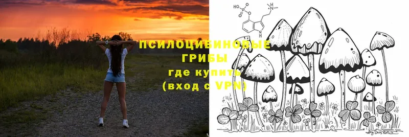 что такое наркотик  Ишим  Псилоцибиновые грибы Psilocybine cubensis 